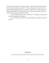 Ideali valstybė pagal Platoną 9 puslapis