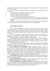 Alkoholizmo samprata bei požymiai 3 puslapis
