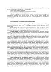 Alkoholizmo samprata bei požymiai 7 puslapis