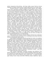 Šv. Aurelijus Augustinas (Augustinus, 354-430 m.) 3 puslapis