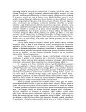 Šv. Aurelijus Augustinas (Augustinus, 354-430 m.) 4 puslapis