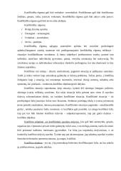 Konfliktas 3 puslapis
