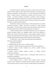 Administraciniai gebėjimai 2 puslapis