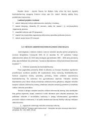 Administraciniai gebėjimai 17 puslapis