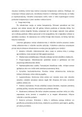 Administraciniai gebėjimai 7 puslapis