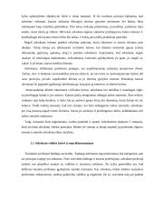 Advokatų profesinė etika ir civilinis procesas 12 puslapis