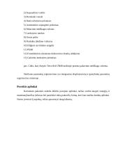 Aseptinis pakavimas. Pakuočių ir maisto produktų sterilizavimo būdai. Aseptinio pakavimo priemonės 20 puslapis