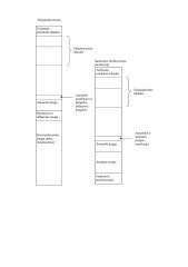 Aseptinis pakavimas. Pakuočių ir maisto produktų sterilizavimo būdai. Aseptinio pakavimo priemonės 4 puslapis