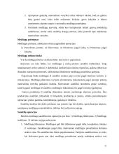 Baldų gamybos apimčių organizavimas įmonėje: baldų gamyba "Genio baldai" 12 puslapis