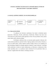 Baldų gamybos apimčių organizavimas įmonėje: baldų gamyba "Genio baldai" 15 puslapis