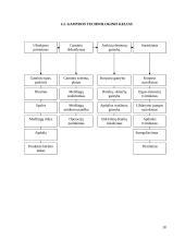 Baldų gamybos apimčių organizavimas įmonėje: baldų gamyba "Genio baldai" 19 puslapis