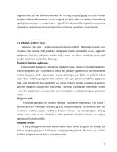 Baldų gamybos apimčių organizavimas įmonėje: baldų gamyba "Genio baldai" 9 puslapis