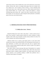 Baltijos jūros biologiniai ir mineraliniai resursai 13 puslapis