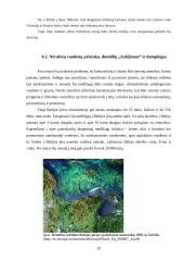 Baltijos jūros biologiniai ir mineraliniai resursai 19 puslapis