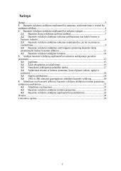 Bausmės vykdymo atidėjimas nepilnamečiams 2 puslapis