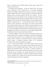 Bausmės vykdymo atidėjimas nepilnamečiams 19 puslapis