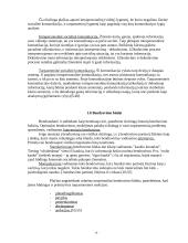 Bendravimas – žmonių tarpusavio sąveika 8 puslapis