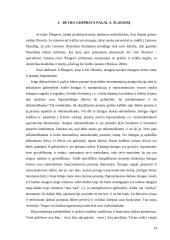 Būties problema filosofijoje. Heideggeris. Šliogeris 13 puslapis