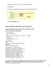 Duomenų bazių programavimas PL/SQL 13 puslapis