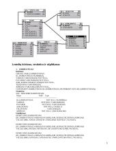 Duomenų bazių programavimas PL/SQL 4 puslapis