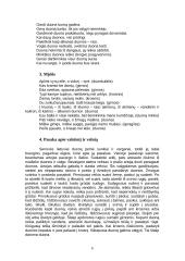 Duonos kepimo papročiai 7 puslapis