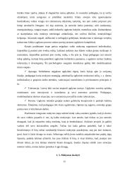Fizinę negalę turinčių vaikų mokymas skaityti 12 puslapis