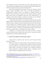Gėjų santuokų moralinis ir teisinis įvertinimas 13 puslapis