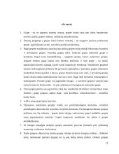 Grupės ir komandos organizacijoje 12 puslapis