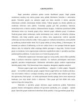 Grupės ir komandos organizacijoje 3 puslapis