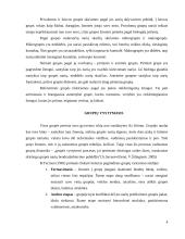 Grupės ir komandos organizacijoje 4 puslapis
