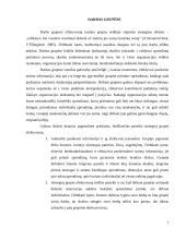 Grupės ir komandos organizacijoje 7 puslapis