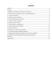 Ieškinio palikimo nenagrinėtu pagrindai 2 puslapis