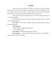 Ieškinio palikimo nenagrinėtu pagrindai 3 puslapis