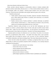 Informacinių technologijų vaidmuo studijų procese 11 puslapis
