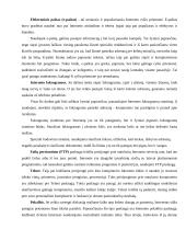 Informacinių technologijų vaidmuo studijų procese 3 puslapis