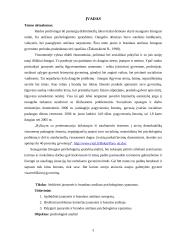 Jaunystės ir brandaus amžiaus psichologinė analizė 2 puslapis