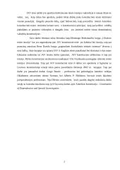 Jungtinių Amerikos Valstijų (JAV) konstitucinė teisė 2 puslapis