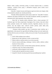 Jungtinių Amerikos Valstijų (JAV) konstitucinė teisė 11 puslapis