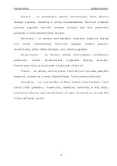 Juridiniai asmenys 9 puslapis