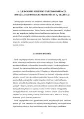 Juridinio asmens baudžiamoji atsakomybė 15 puslapis