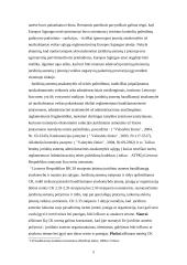 Juridinio asmens baudžiamoji atsakomybė 3 puslapis