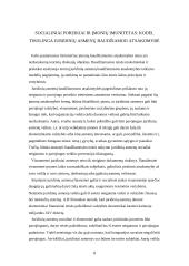 Juridinio asmens baudžiamoji atsakomybė 6 puslapis