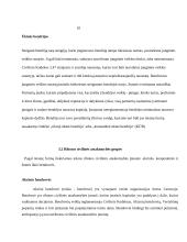 Juridinio asmens samprata ir požymiai 11 puslapis