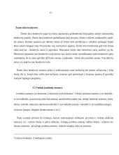 Juridinio asmens samprata ir požymiai 13 puslapis