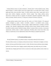 Juridinio asmens samprata ir požymiai 14 puslapis