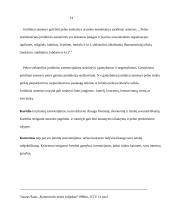 Juridinio asmens samprata ir požymiai 15 puslapis