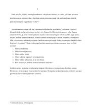 Juridinio asmens samprata ir požymiai 9 puslapis