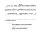 Kainodaros organizavimas įmonėje 3 puslapis