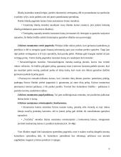 Kainodaros organizavimas įmonėje 6 puslapis