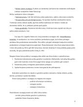 Kainodaros organizavimas įmonėje 8 puslapis